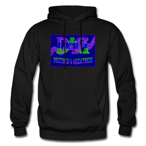 D4G Color Logo Adult Hoodie - black