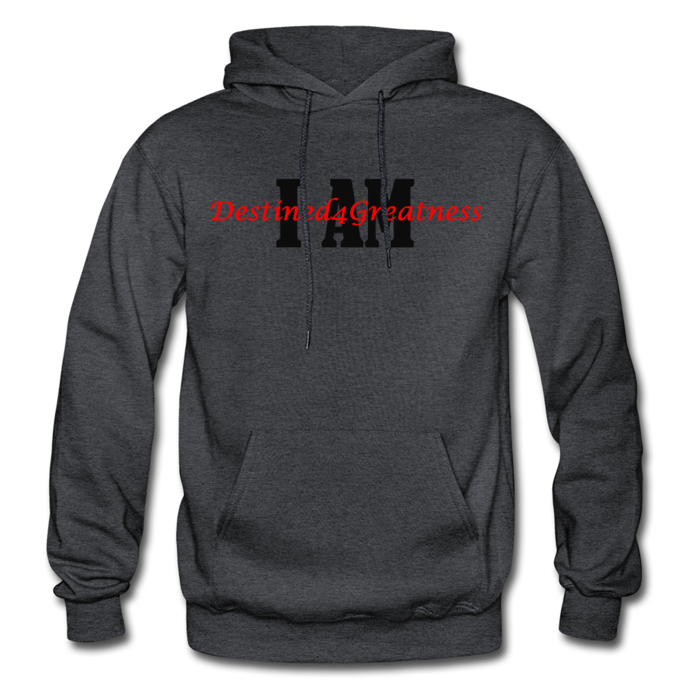 Red I AM Adult Hoodie - charcoal gray