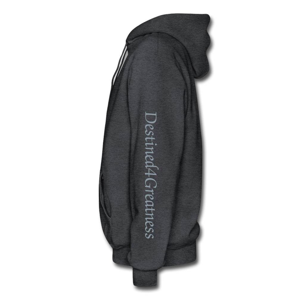 Metallic Sliver D4G Adult Hoodie - charcoal grey