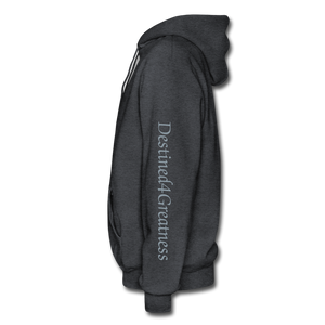 Metallic Sliver D4G Adult Hoodie - charcoal grey