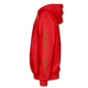 GOLD IAM D4G Zip Hoodie - red